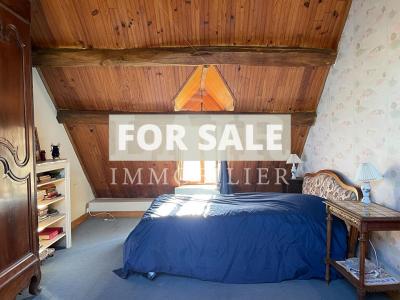 Lovely Village House with Mature Garden