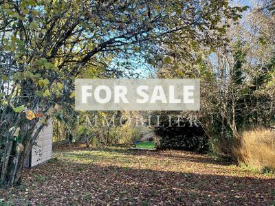 Lovely Village House with Mature Garden