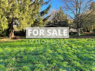 Lovely Village House with Mature Garden