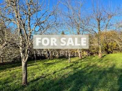 Lovely Village House with Mature Garden