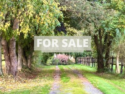 Former Water Mil in Three Hectares