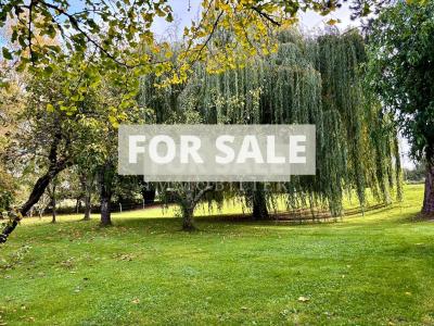 Former Water Mil in Three Hectares
