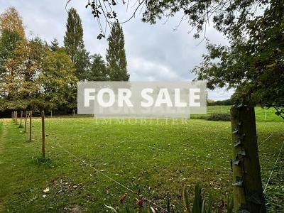 Former Water Mil in Three Hectares