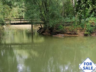 Detached Chalet with Woodland and Lakes