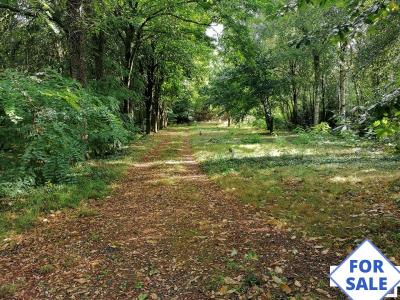 Detached Chalet with Woodland and Lakes