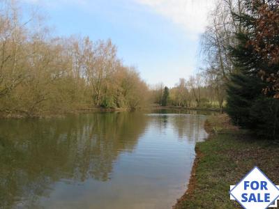 Detached Chalet with Woodland and Lakes