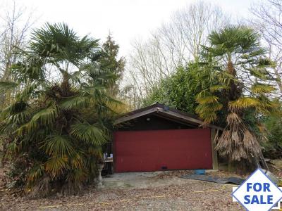 Detached Chalet with Woodland and Lakes