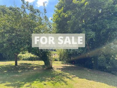 Lovely Country House with Outbuilding