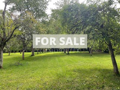 Detached Country House with Landscaped Garden