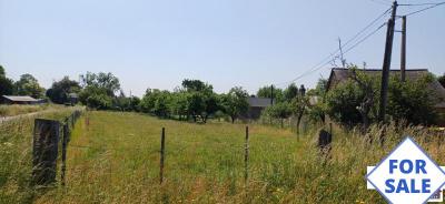 Country House with Several Outbuildings