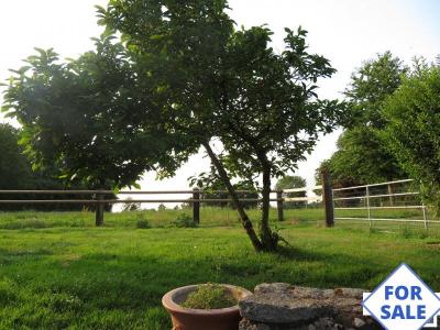 Detached House with Garden