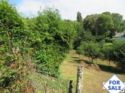 Detached Rural House with Large Garden