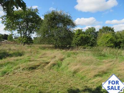 Country House in Great Location