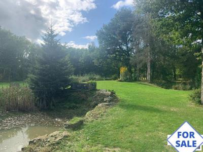 House in Woodland Plot with Pond