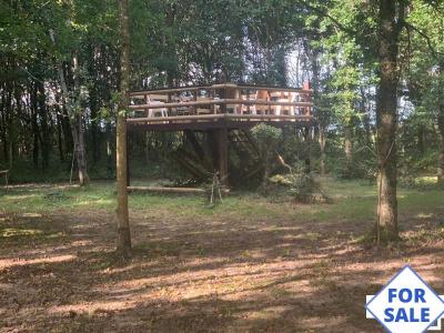 House in Woodland Plot with Pond