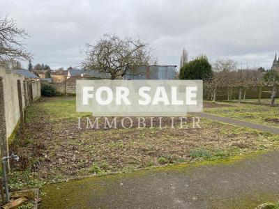 Lovely Village House with Garden