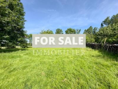 Beautifully Renovated Country Farmhouse