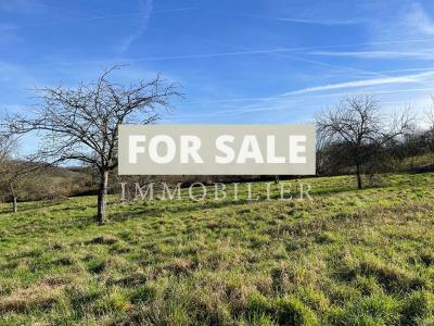 Detached Countryside Longere with Open Views