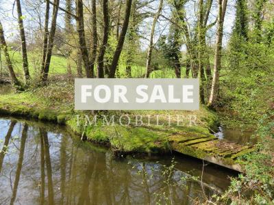 Fishing Lake with Waterfall in Woodland Setting