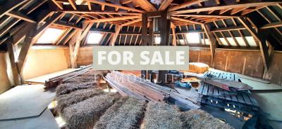 Detached Ecological Property with Potential