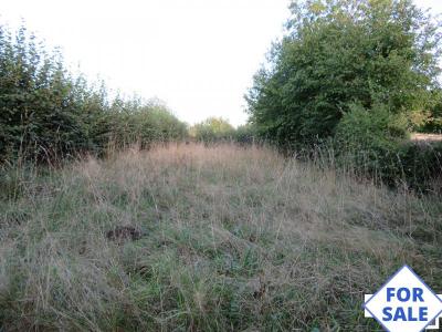 SLD02640 - Under Offer with Cle France