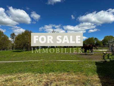 Le Mele Sur Sarthepropriete Ideal Chevaux Sur 2ha