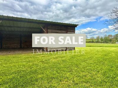 Beautiful Detached Country House in Mature Gardens