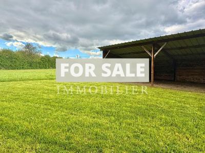 Beautiful Detached Country House in Mature Gardens