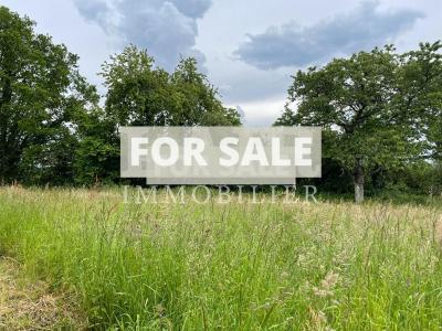 Country House with Outbuildings