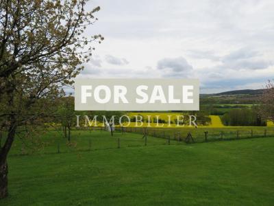 Detached Country House with Open Views
