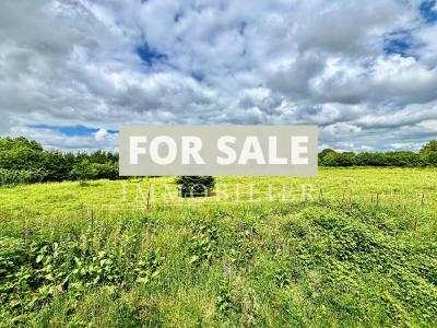 Detached Period Country House with Land