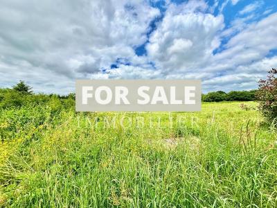 Detached Period Country House with Land