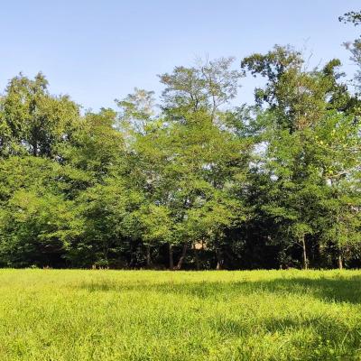 Farmhouse With Pool, Guest Apartments, 1.2 Hectares