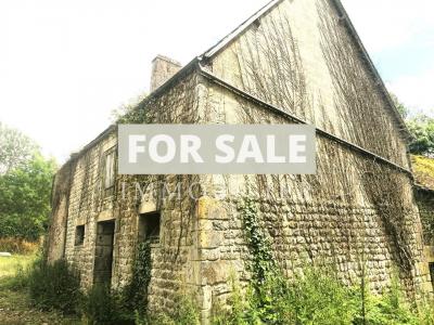 Houses and a Set of Buildings to Renovate