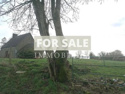 Detached House in the Countryside with Land