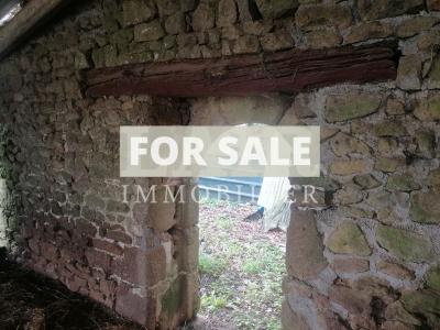 Detached House in the Countryside with Land