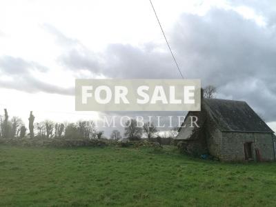 Detached House in the Countryside with Land