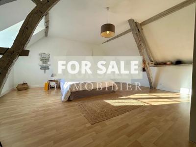 Detached Country House with Swimming Pool