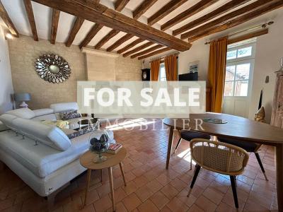 Small Manor House with Garden