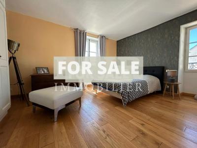 Small Manor House with Garden