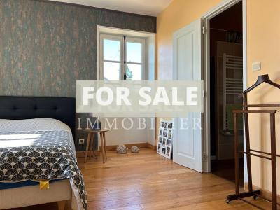 Small Manor House with Garden