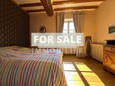 Small Manor House with Garden