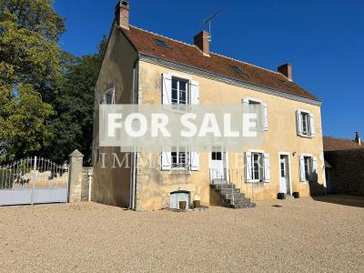 Small Manor House with Garden