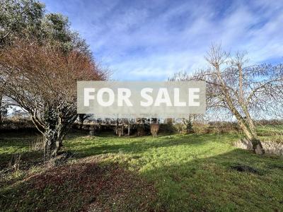 Lovely Detached Country House with Outbuilding
