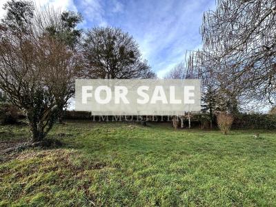 Lovely Detached Country House with Outbuilding