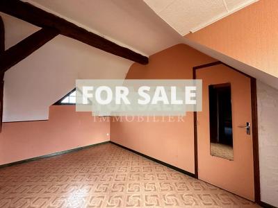 Lovely Detached Country House with Outbuilding