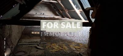 Detached Country House with No Neighbours