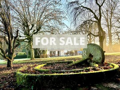 Contemporary Detached House with Pond