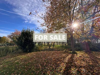 Charming Longere Style House with Countryside Views