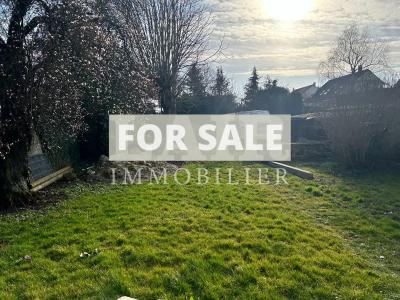 Lovely Detached House with Garden